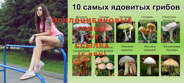 PSILOCYBIN Дмитровск