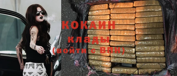 PSILOCYBIN Дмитровск