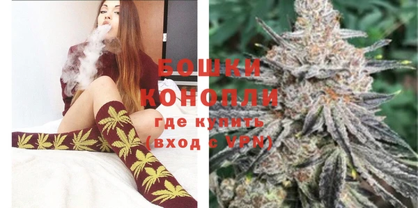 PSILOCYBIN Дмитровск