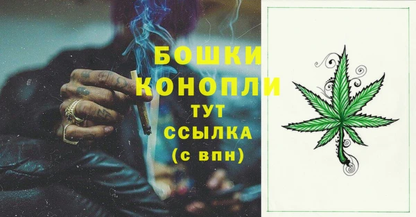 PSILOCYBIN Дмитровск